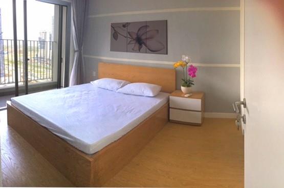 apartment for rent in Masteri Thao Dien  District 2 HCM D2142574 (1)